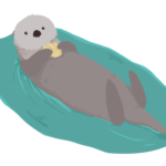 a sea otter