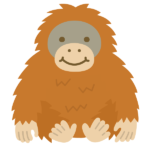 orangutan<br>オランウータン
